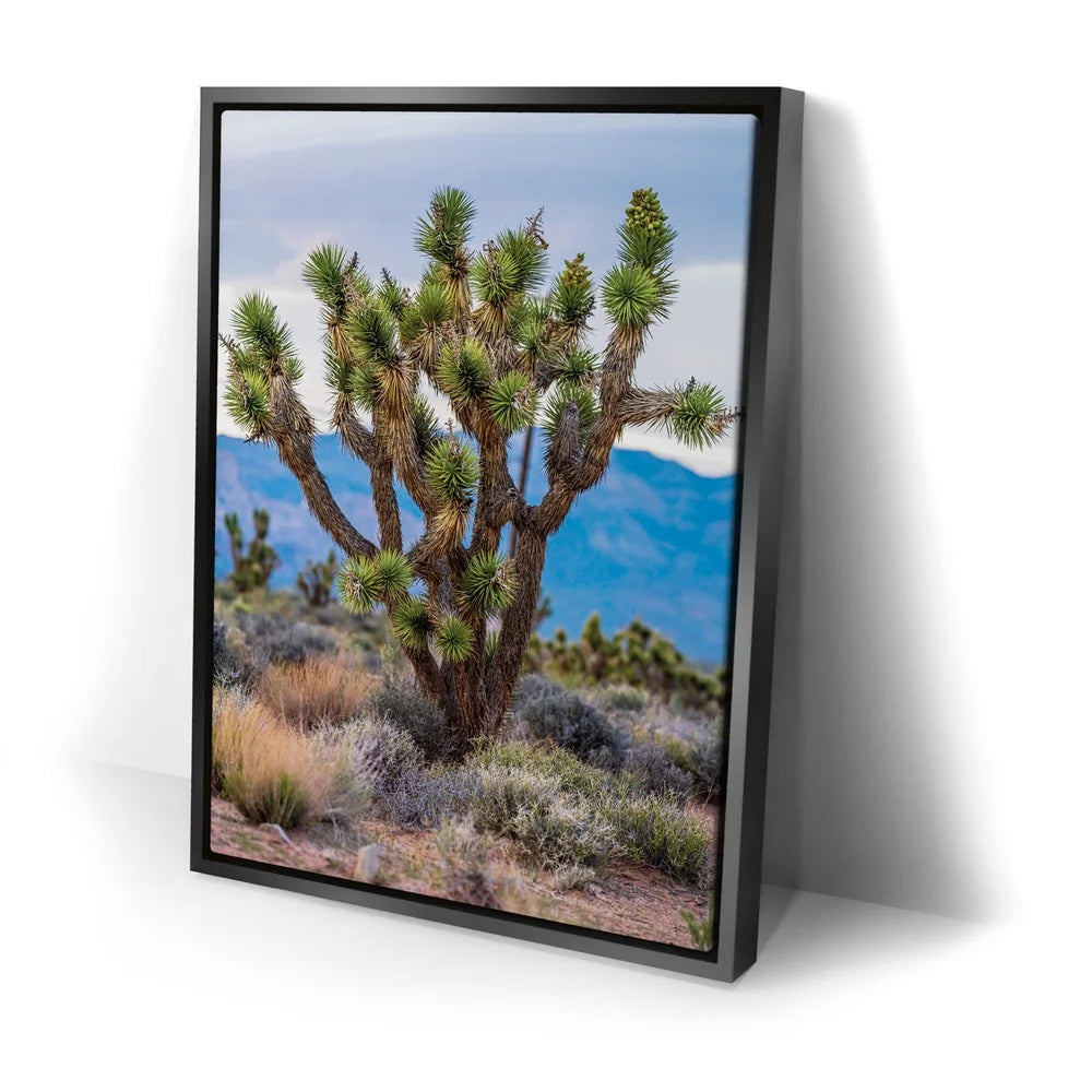 Featured image 2 for Mojave Spirit