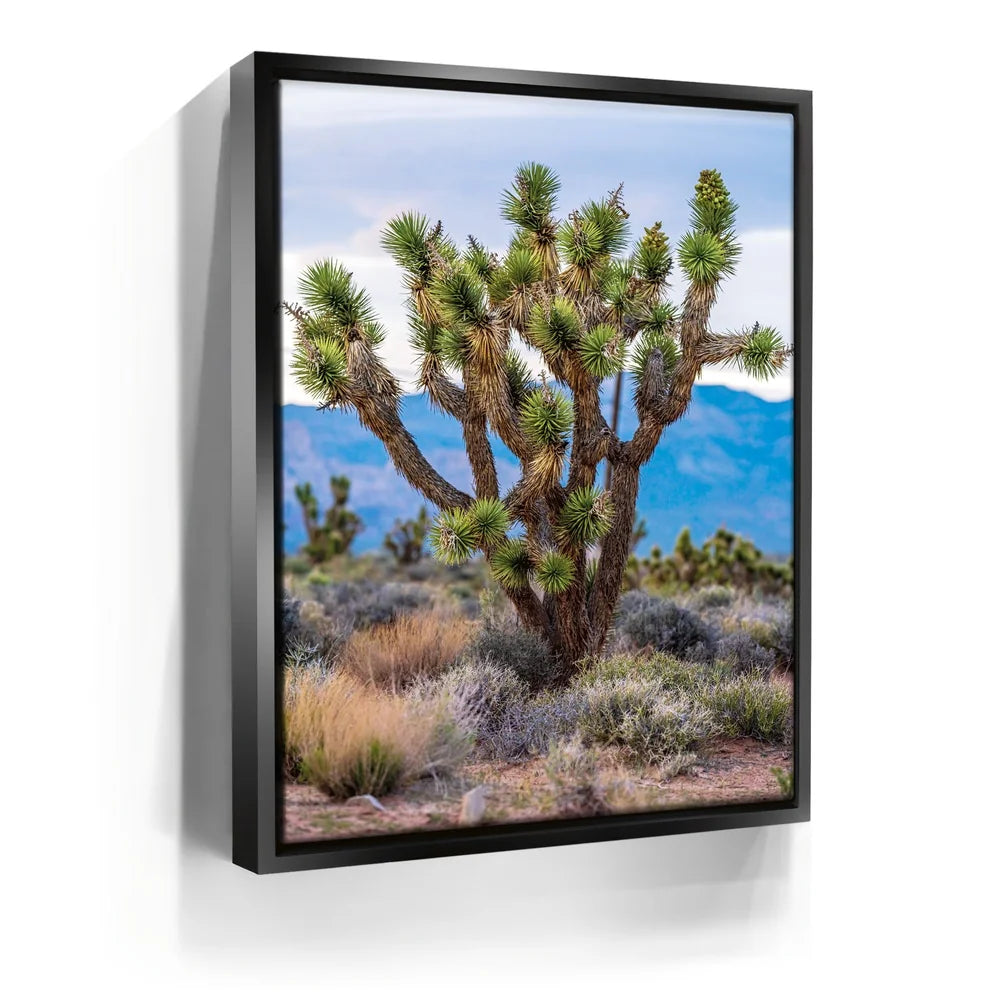 Featured image 5 for Mojave Spirit