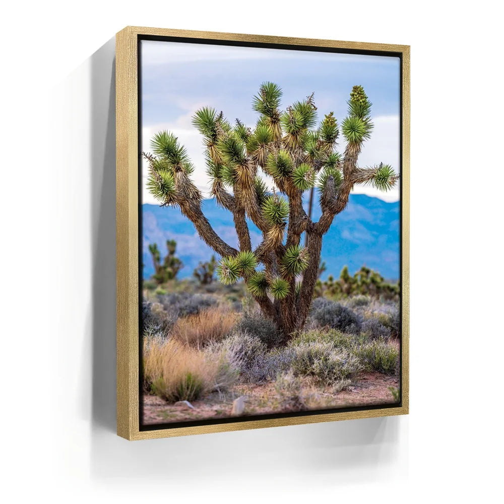 Featured image 7 for Mojave Spirit