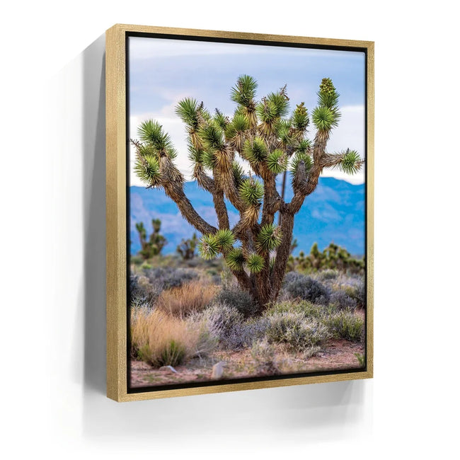 Featured image 7 for Mojave Spirit