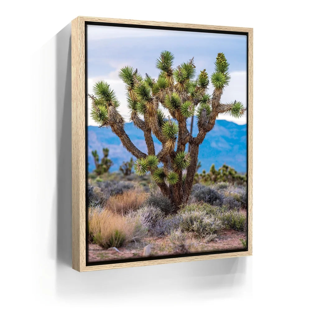 Featured image 9 for Mojave Spirit