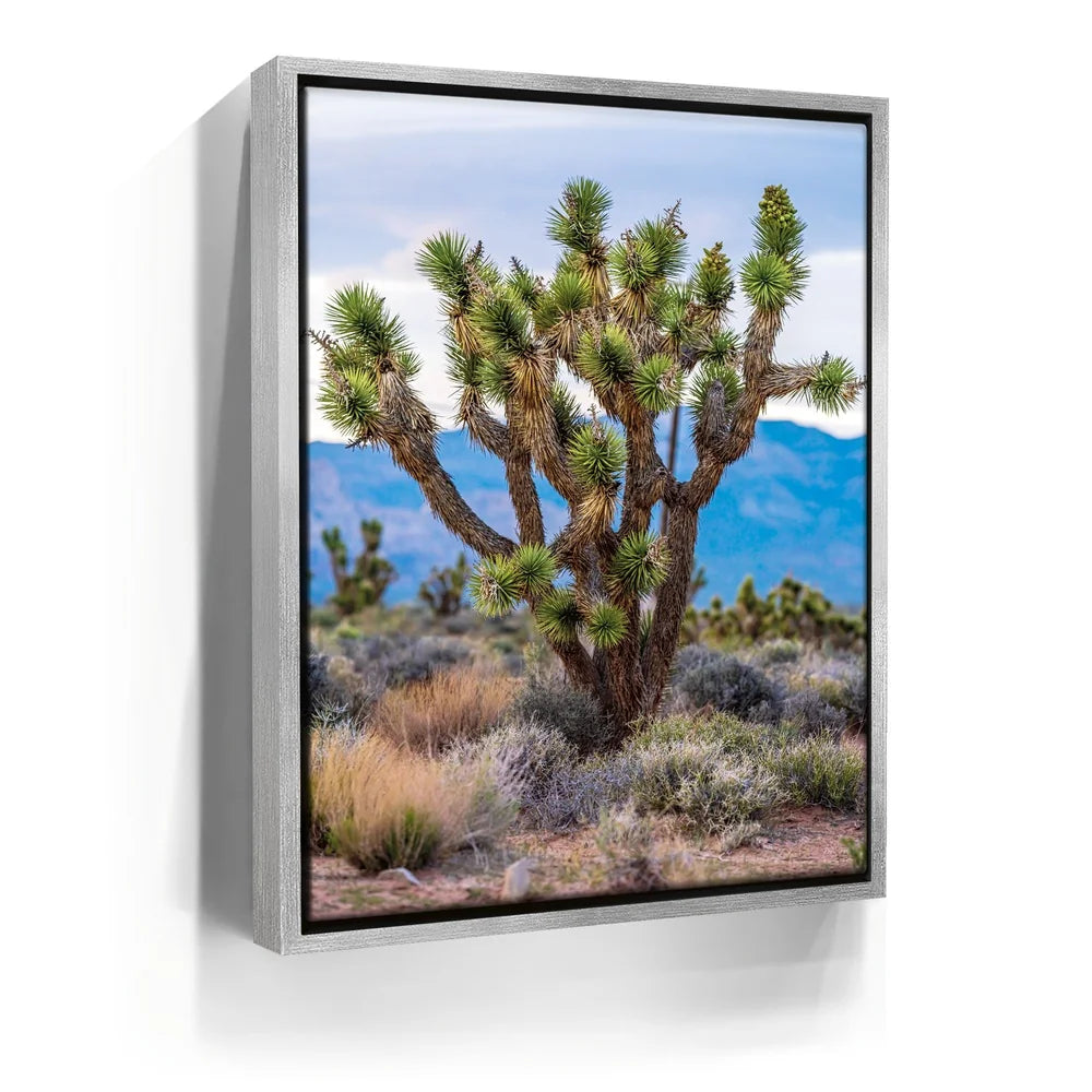 Featured image 8 for Mojave Spirit