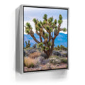 Featured image 8 for Mojave Spirit