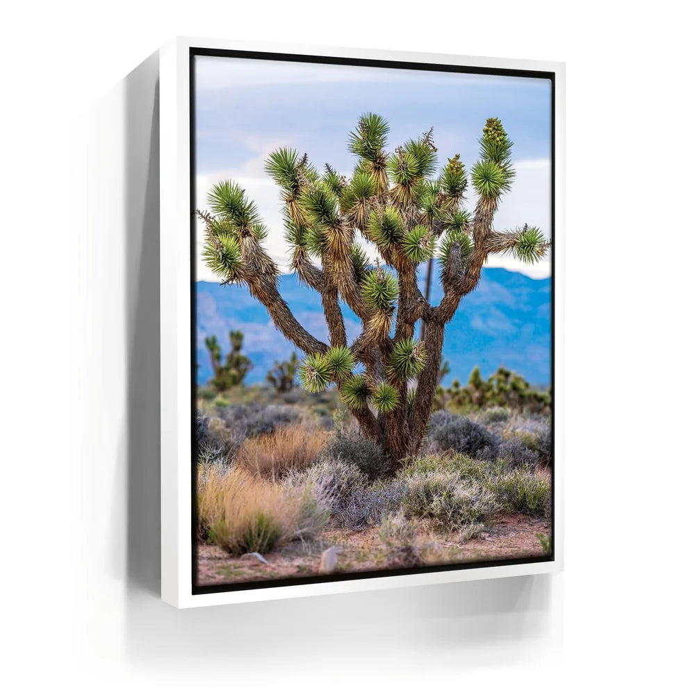 Featured image 6 for Mojave Spirit