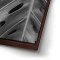 Thumbnail image 14 for Monstera - Black And White - Maui, HI