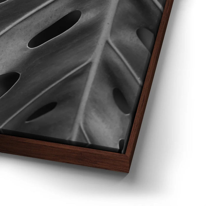 Featured image 14 for Monstera - Black And White - Maui, HI