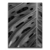 Featured image 1 for Monstera - Black And White - Maui, HI
