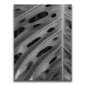 Featured image 1 for Monstera - Black And White - Maui, HI