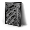 Thumbnail image 2 for Monstera - Black And White - Maui, HI