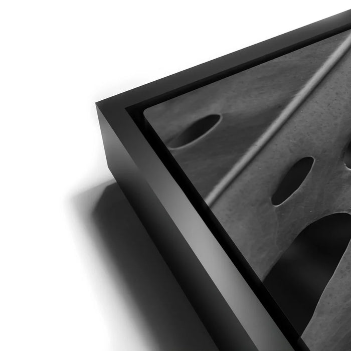 Featured image 11 for Monstera - Black And White - Maui, HI