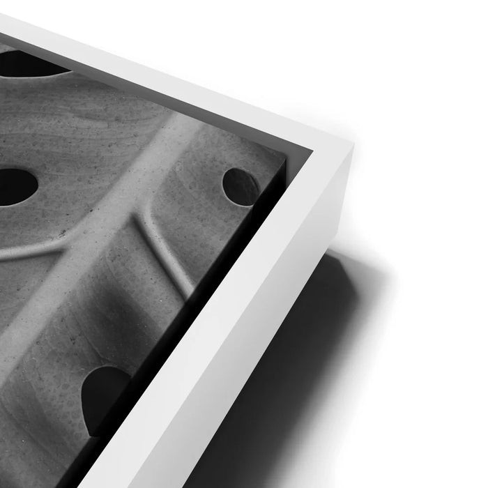 Featured image 13 for Monstera - Black And White - Maui, HI