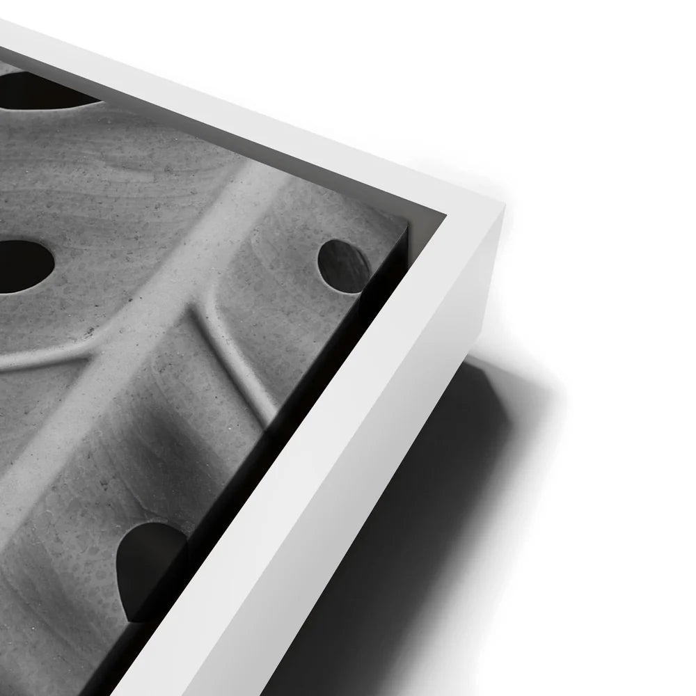 Featured image 13 for Monstera - Black And White - Maui, HI