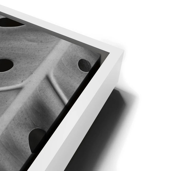 Featured image 13 for Monstera - Black And White - Maui, HI