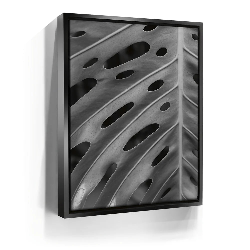 Featured image 5 for Monstera - Black And White - Maui, HI
