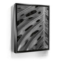 Featured image 5 for Monstera - Black And White - Maui, HI