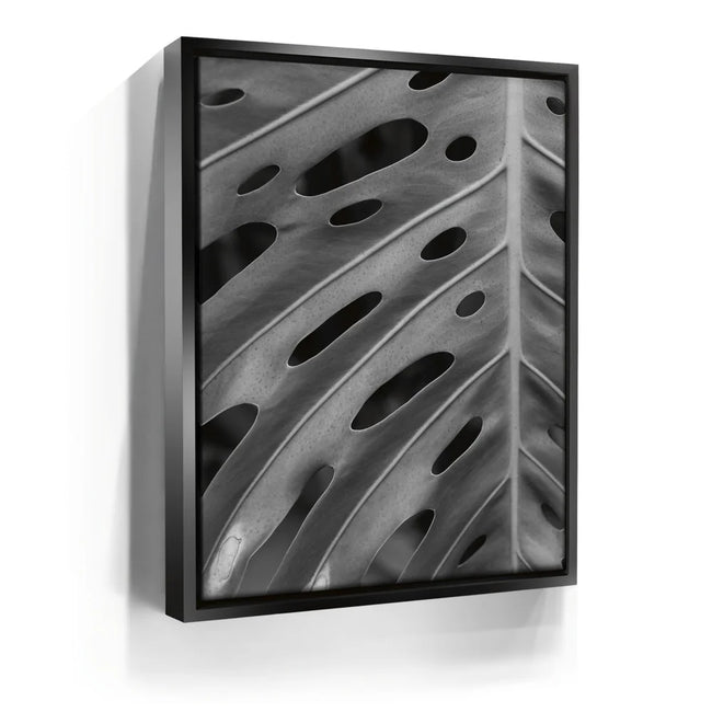 Featured image 5 for Monstera - Black And White - Maui, HI
