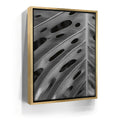 Featured image 7 for Monstera - Black And White - Maui, HI