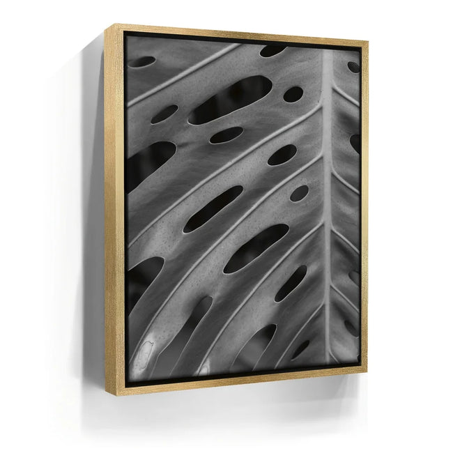 Featured image 7 for Monstera - Black And White - Maui, HI