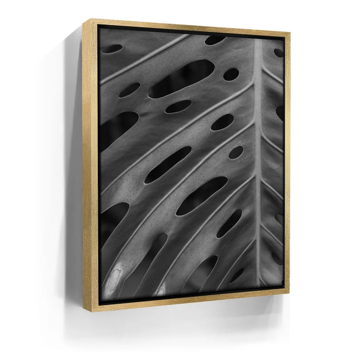 Featured image 7 for Monstera - Black And White - Maui, HI