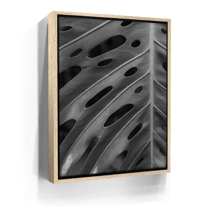 Featured image 9 for Monstera - Black And White - Maui, HI