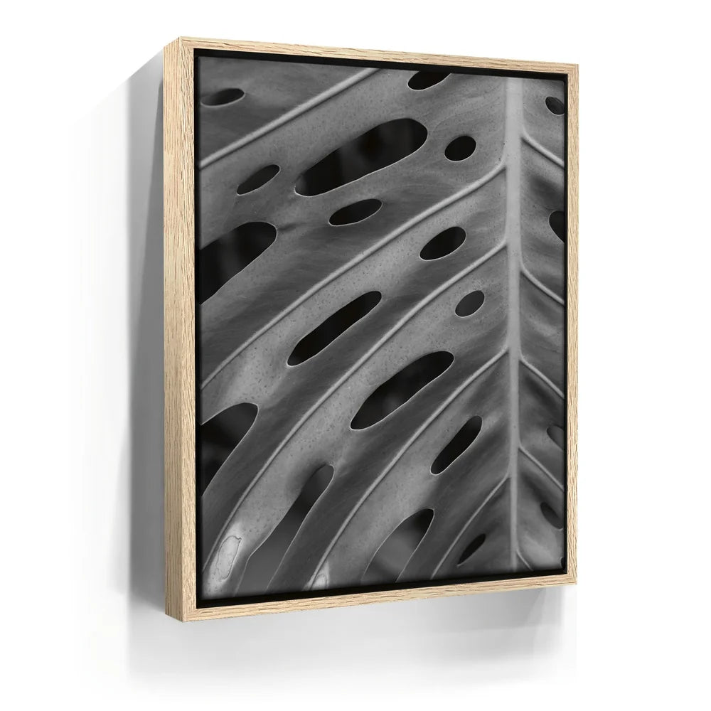 Featured image 9 for Monstera - Black And White - Maui, HI