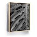 Featured image 9 for Monstera - Black And White - Maui, HI