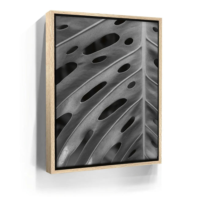 Featured image 9 for Monstera - Black And White - Maui, HI