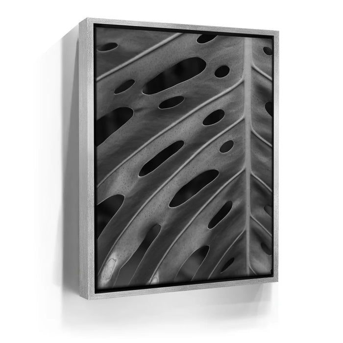 Featured image 8 for Monstera - Black And White - Maui, HI