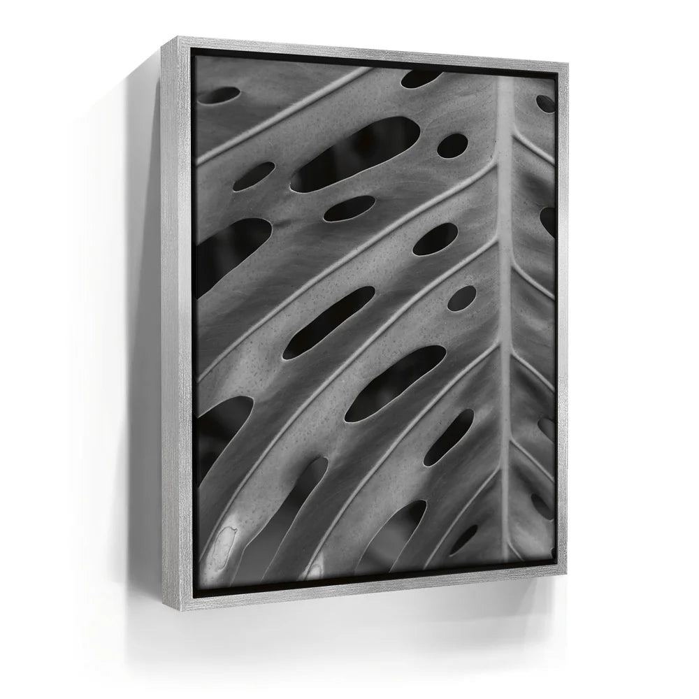 Featured image 8 for Monstera - Black And White - Maui, HI