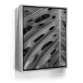 Featured image 8 for Monstera - Black And White - Maui, HI