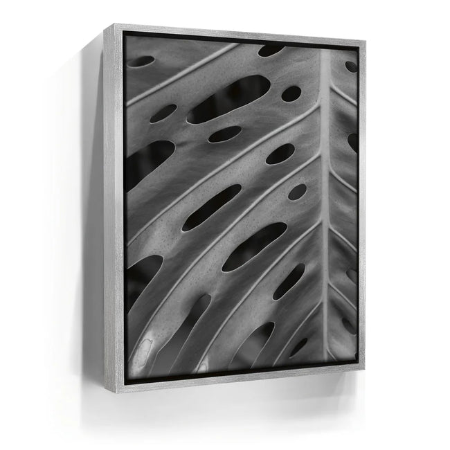 Featured image 8 for Monstera - Black And White - Maui, HI