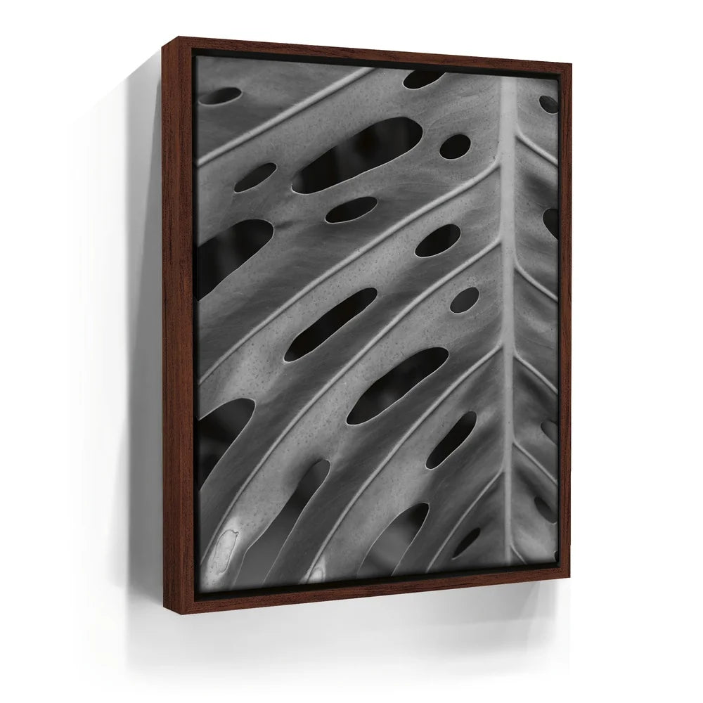 Featured image 10 for Monstera - Black And White - Maui, HI