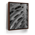 Featured image 10 for Monstera - Black And White - Maui, HI