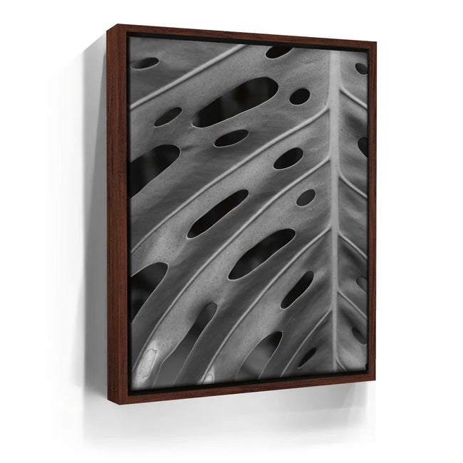 Featured image 10 for Monstera - Black And White - Maui, HI