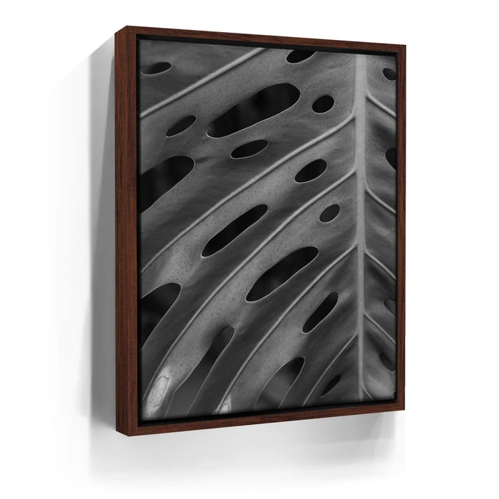 Featured image 10 for Monstera - Black And White - Maui, HI