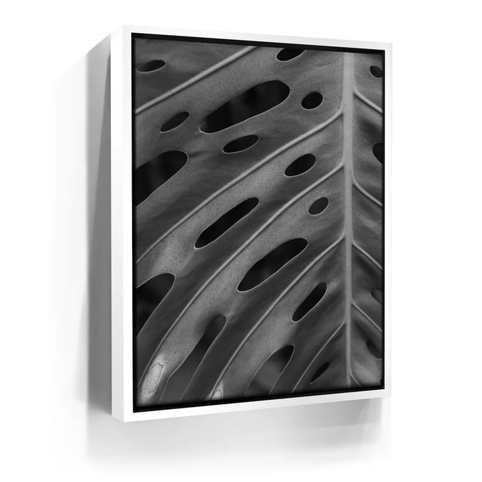 Featured image 6 for Monstera - Black And White - Maui, HI