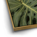 Thumbnail image 12 for Monstera Visitor - Maui, HI
