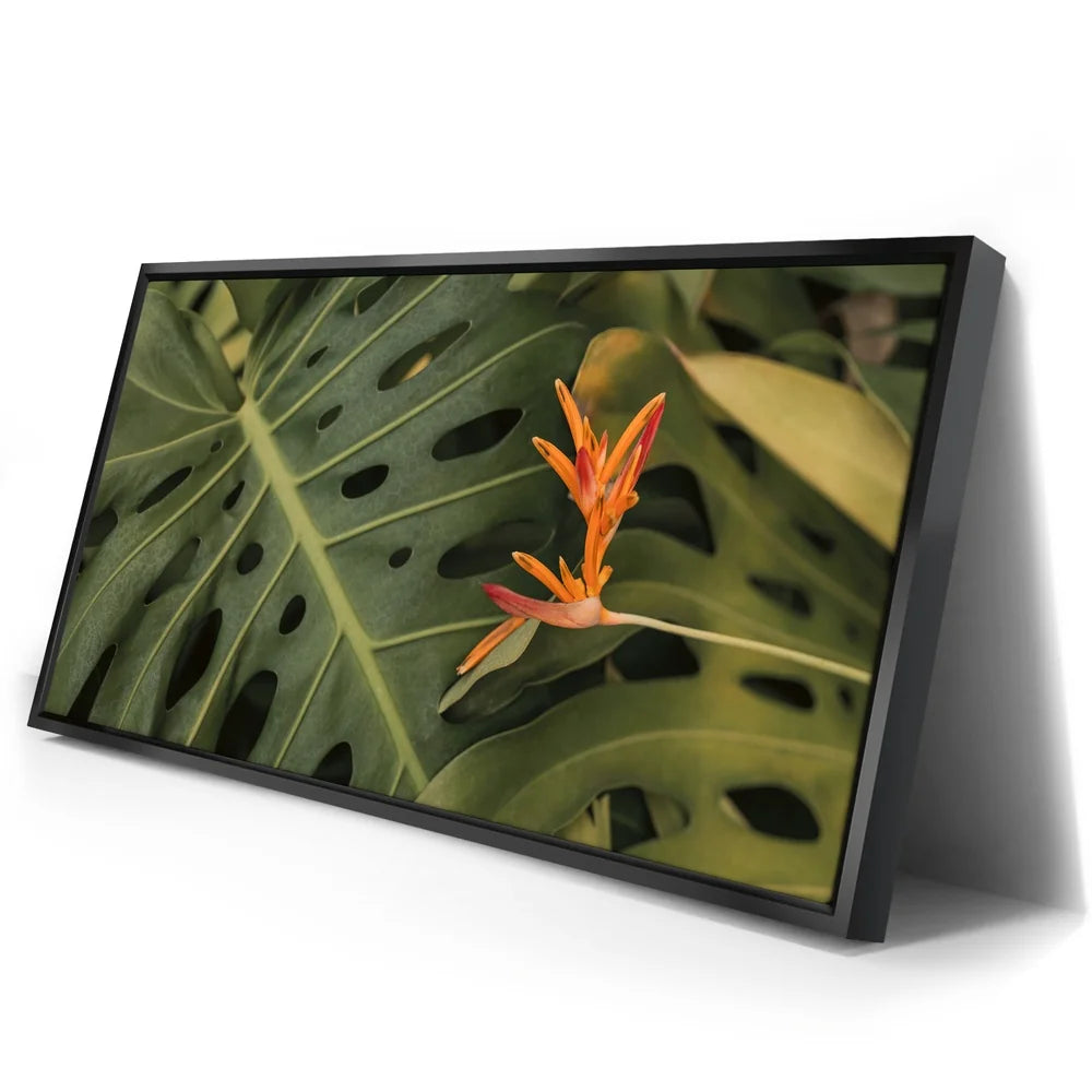 Featured image 2 for Monstera Visitor - Maui, HI