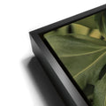 Thumbnail image 11 for Monstera Visitor - Maui, HI