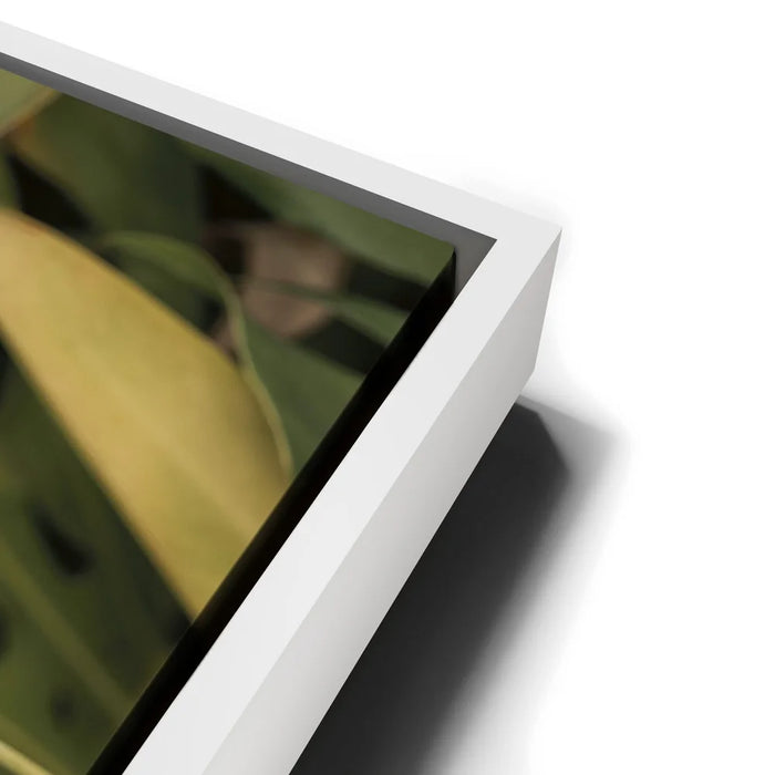 Featured image 13 for Monstera Visitor - Maui, HI