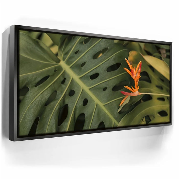 Featured image 5 for Monstera Visitor - Maui, HI