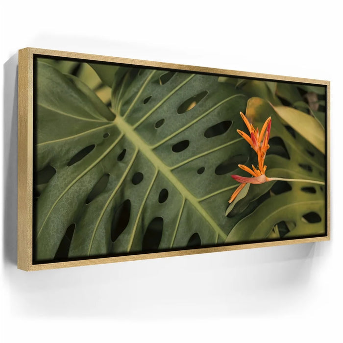 Featured image 7 for Monstera Visitor - Maui, HI