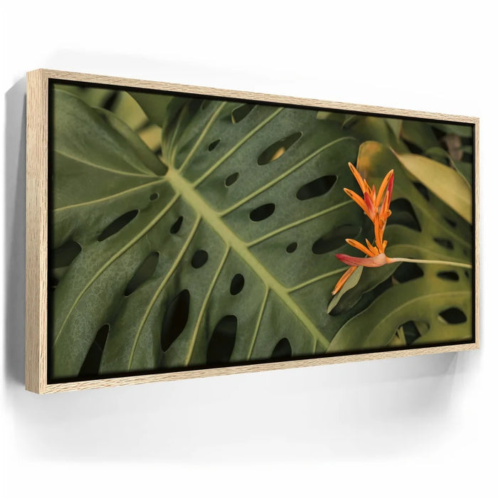 Featured image 9 for Monstera Visitor - Maui, HI