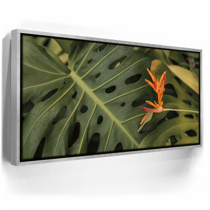 Featured image 8 for Monstera Visitor - Maui, HI