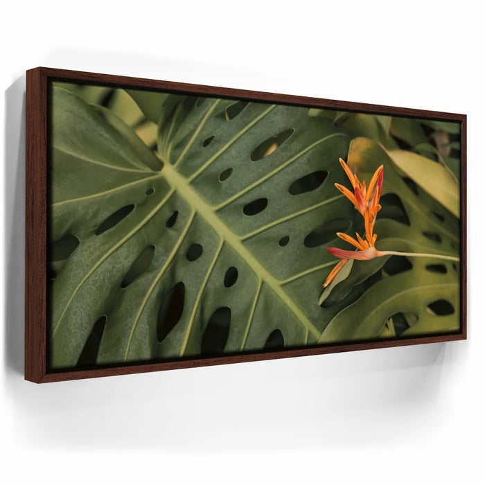 Featured image 10 for Monstera Visitor - Maui, HI