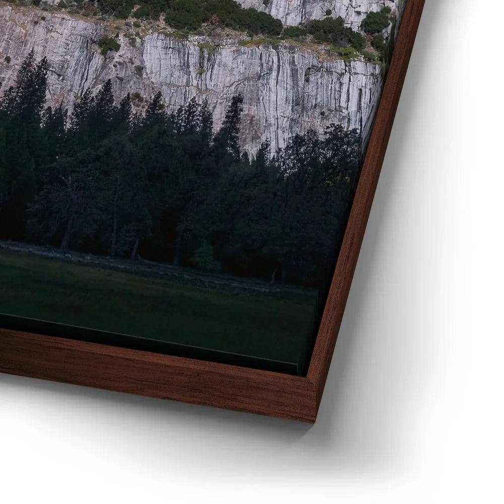 Featured image 14 for Moonbow