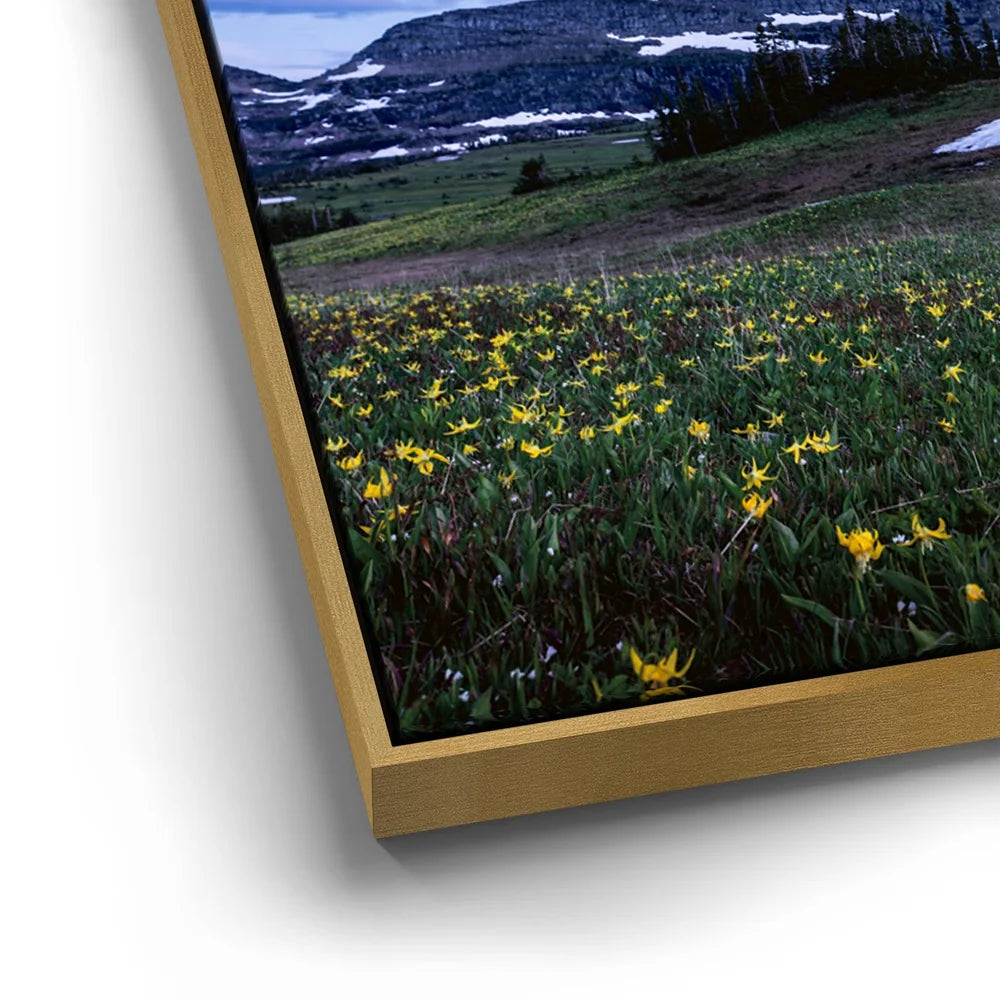 Featured image 12 for Moonlit Meadow