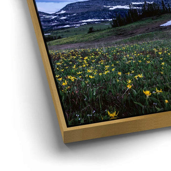 Featured image 12 for Moonlit Meadow