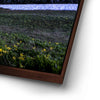 Thumbnail image 14 for Moonlit Meadow