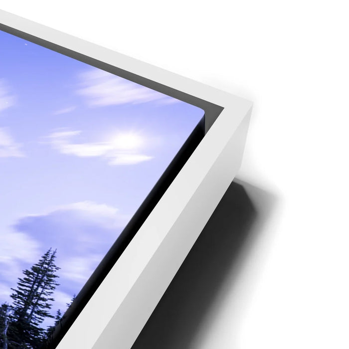 Featured image 13 for Moonlit Meadow